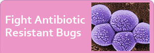 Fight Antibiotic Resistant Bugs — bacteria microscopy